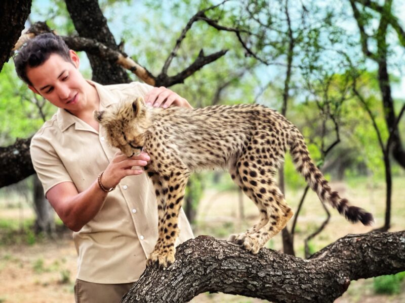 South Africa: 11 Night Tour