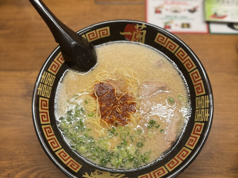 2026: October 23-November 3 (9 Spots Available)