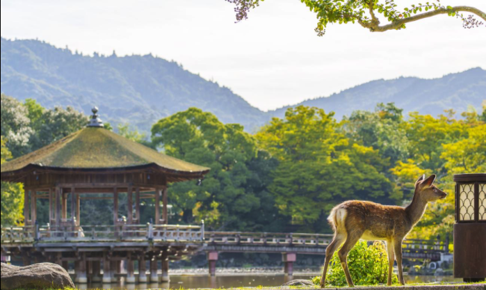 2027: April 10-22 - SOLD OUT